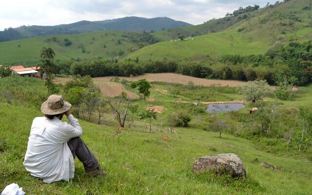 Imagen para Metodología para desarrollo de sistemas de información